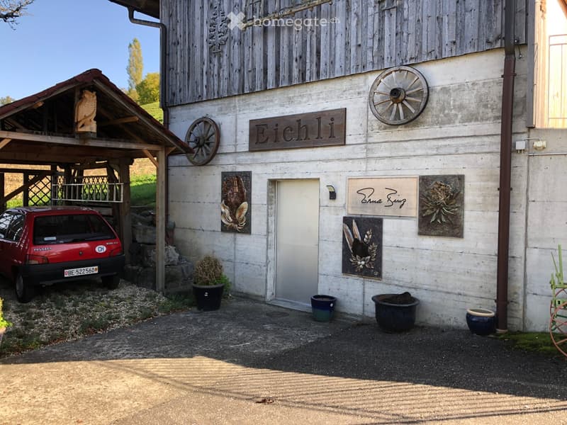 A rustic wooden building with a sign reading "Eichli" and decorative artwork, featuring a covered parking area with a red car, several potted plants, and a wheel decoration on the wall.