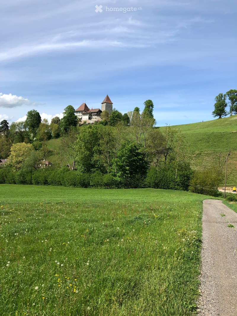 A lush green field with wildflowers and a gravel path leading to a historic castle on a hill, surrounded by trees and rolling hills under a clear blue sky.