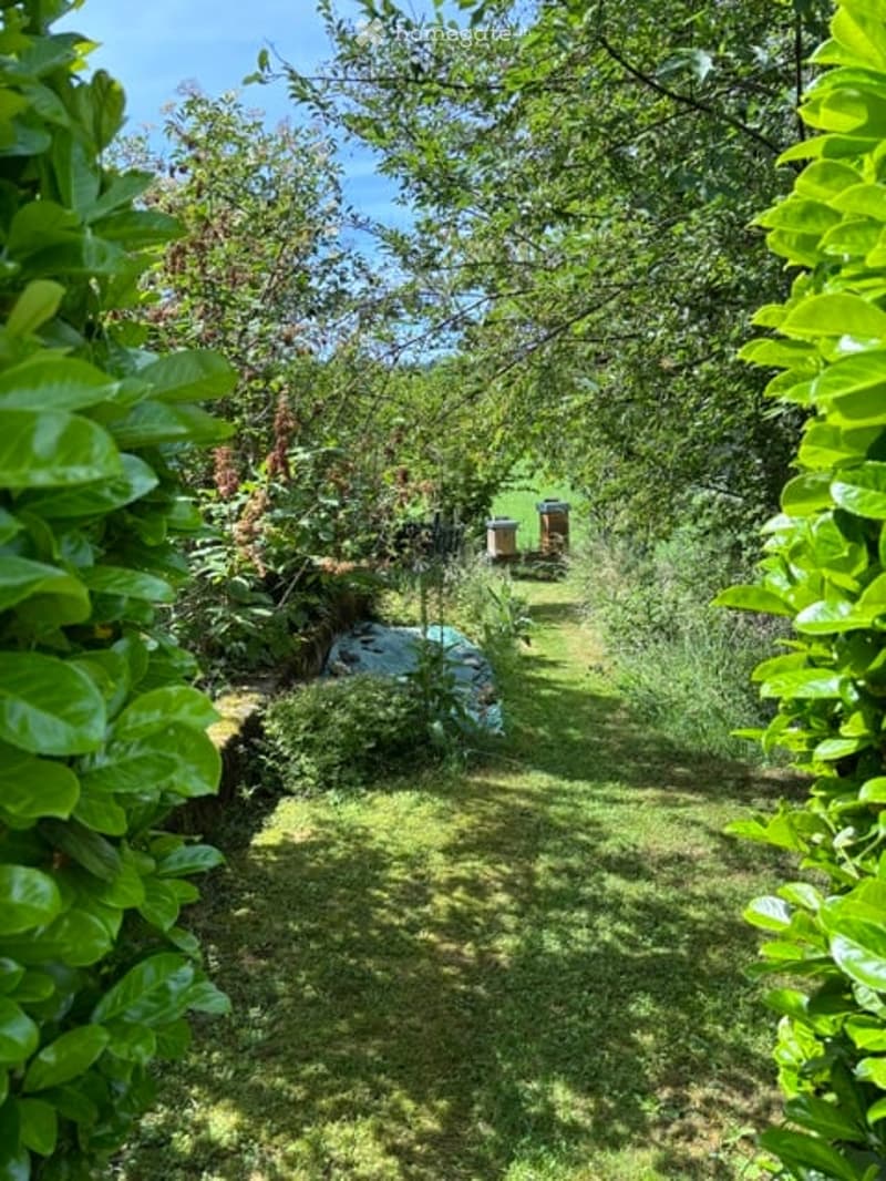 A lush garden area with a variety of plants, trees, and a small pathway leading to a wooden bench and a small structure, likely a shed or storage unit.