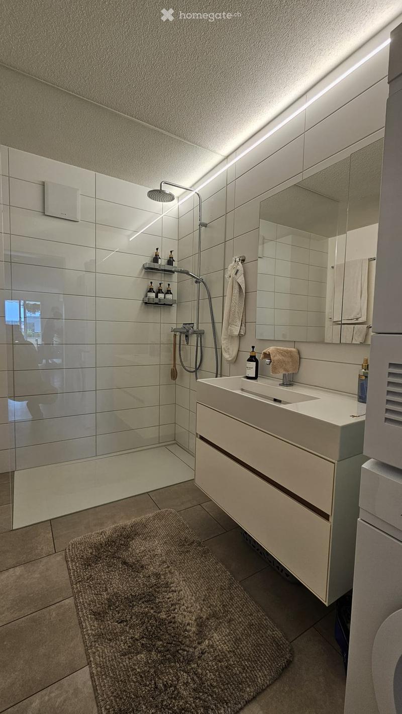 Modern bathroom with a white sink, mirror, shower area, and a fluffy rug on the floor.