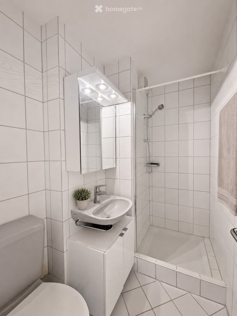 Modern bathroom with white tiled walls and floor, featuring a toilet, sink with a modern faucet, a large mirror with built-in lighting, a bathtub with a glass shower enclosure, and a small potted plant on the sink counter.