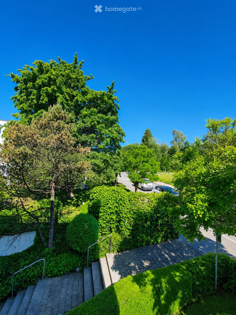 A lush, green garden area with a staircase leading up, surrounded by trees and bushes, with a road and parked cars visible in the background.