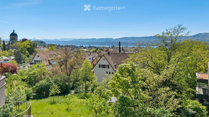 Aerial view of a town with houses, trees, and a lake in the distance.