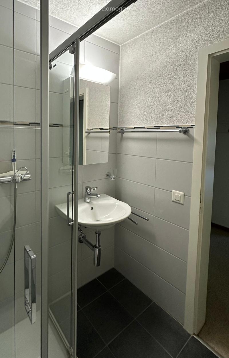 Modern bathroom with a white sink, chrome faucet, glass shower enclosure, and towel racks.
