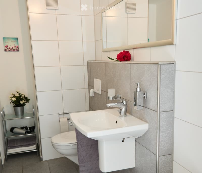 Modern bathroom with white tiles, a sink, toilet, mirror, and decorative elements including a red rose and a small potted plant.