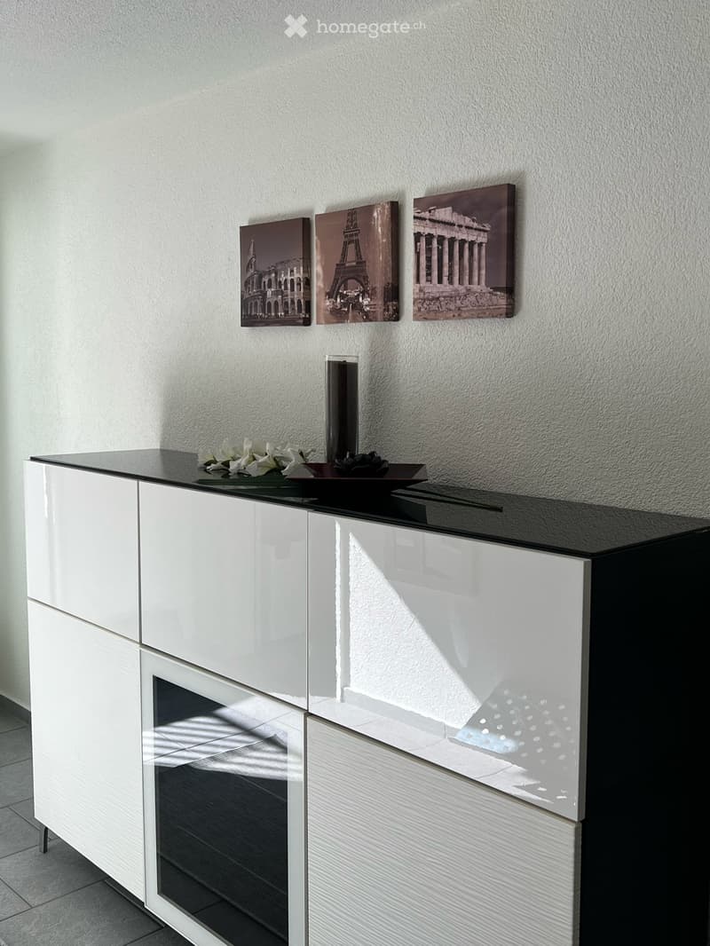 Möbliertes Businessappartment wochen- oder monatsweise zu vermieten (5)