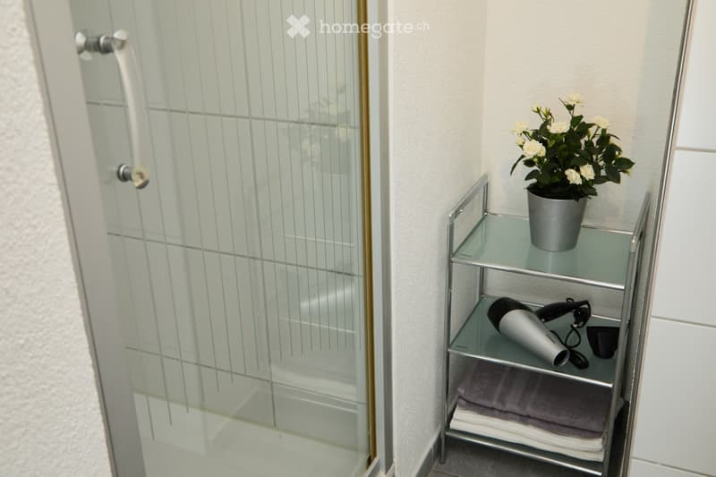 Modern bathroom with a glass shower enclosure, a metal shelf holding a flower pot, a hair dryer, and folded towels.