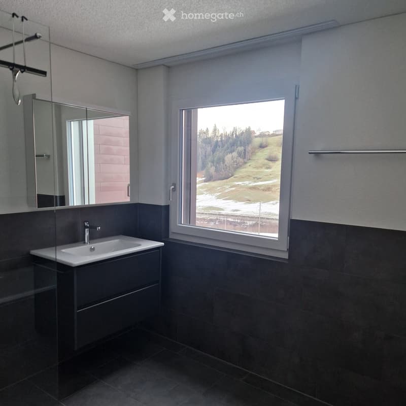 Modern bathroom with dark grey tiles, a white sink, a chrome faucet, and a large mirror. The room features a large window with a scenic view of a snowy landscape.