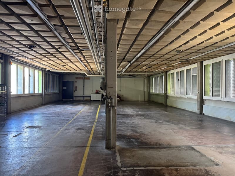 Empty industrial-style space with concrete floors, large windows, exposed pipes, and minimal furnishings.