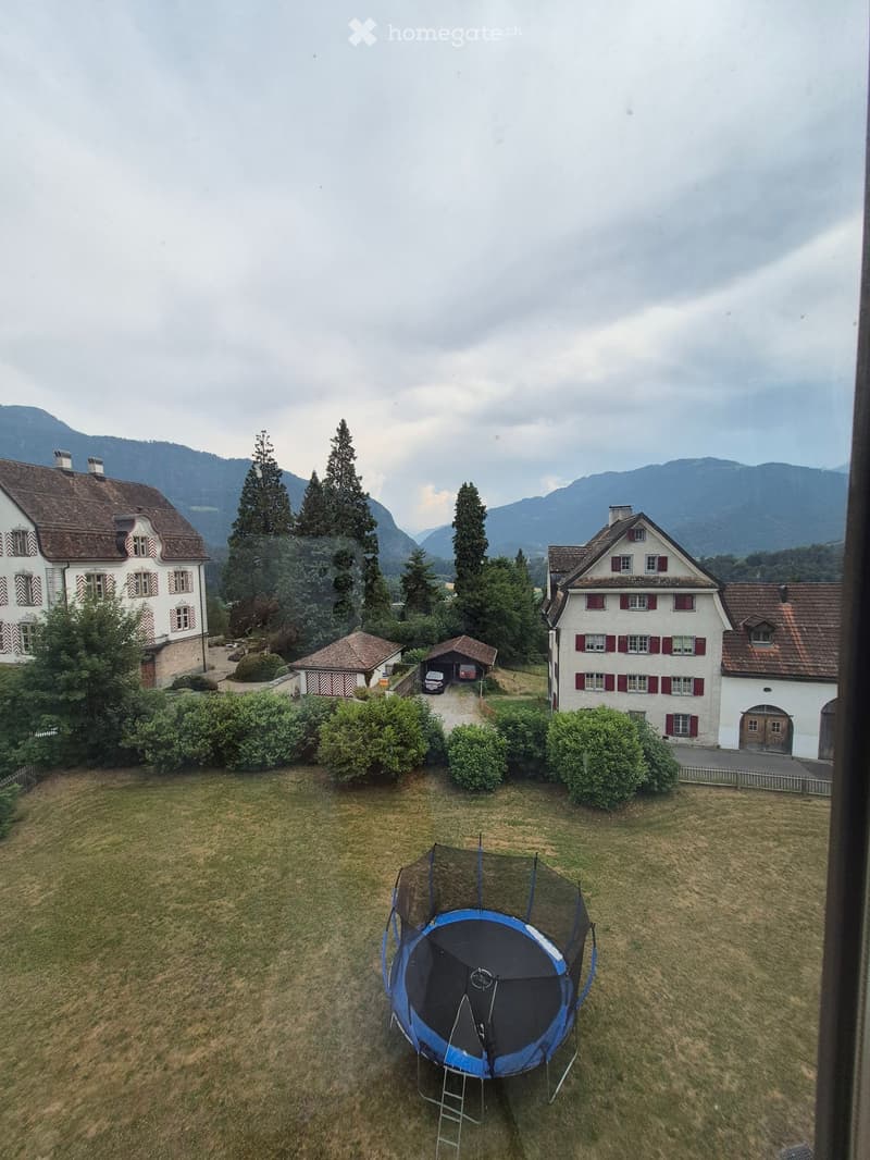 A grassy yard with a blue trampoline, surrounded by several houses and trees, with mountains in the background.