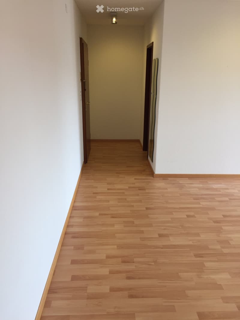 Empty hallway with light wooden flooring and white walls, featuring two closed doors and a ceiling light fixture.