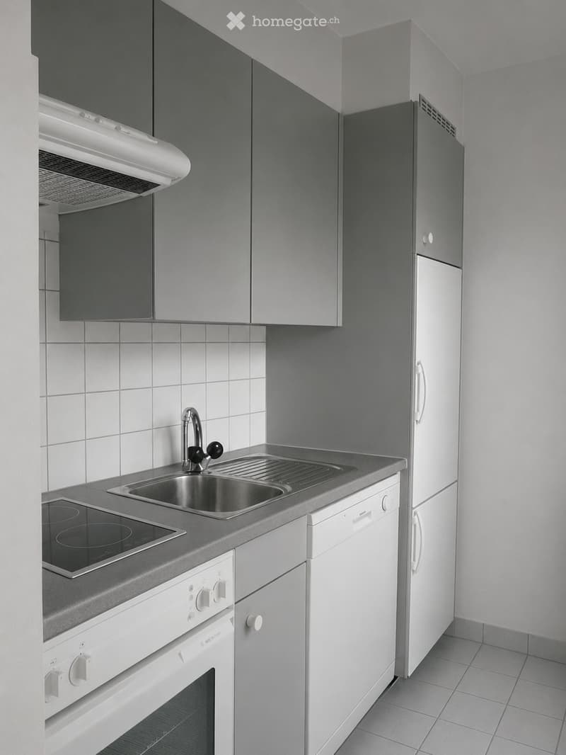 Modern kitchen with grey cabinets, stainless steel sink, electric stove, dishwasher, and refrigerator.