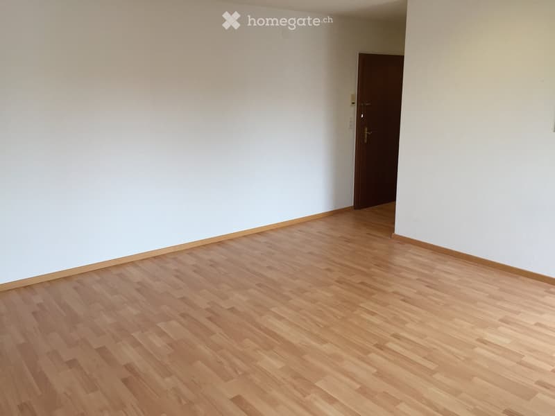 Empty room with light-colored walls and wooden flooring, featuring a closed door in the background.