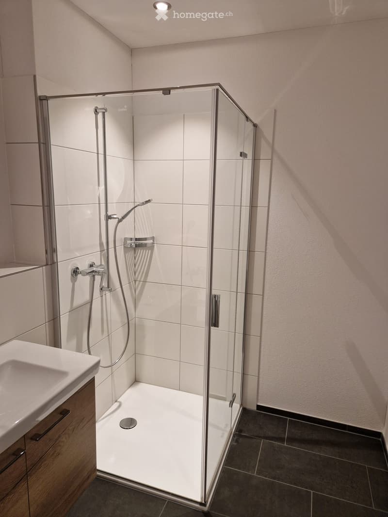 Schöne 3.5 -Zimmerwohnung in Hägglingen (8)