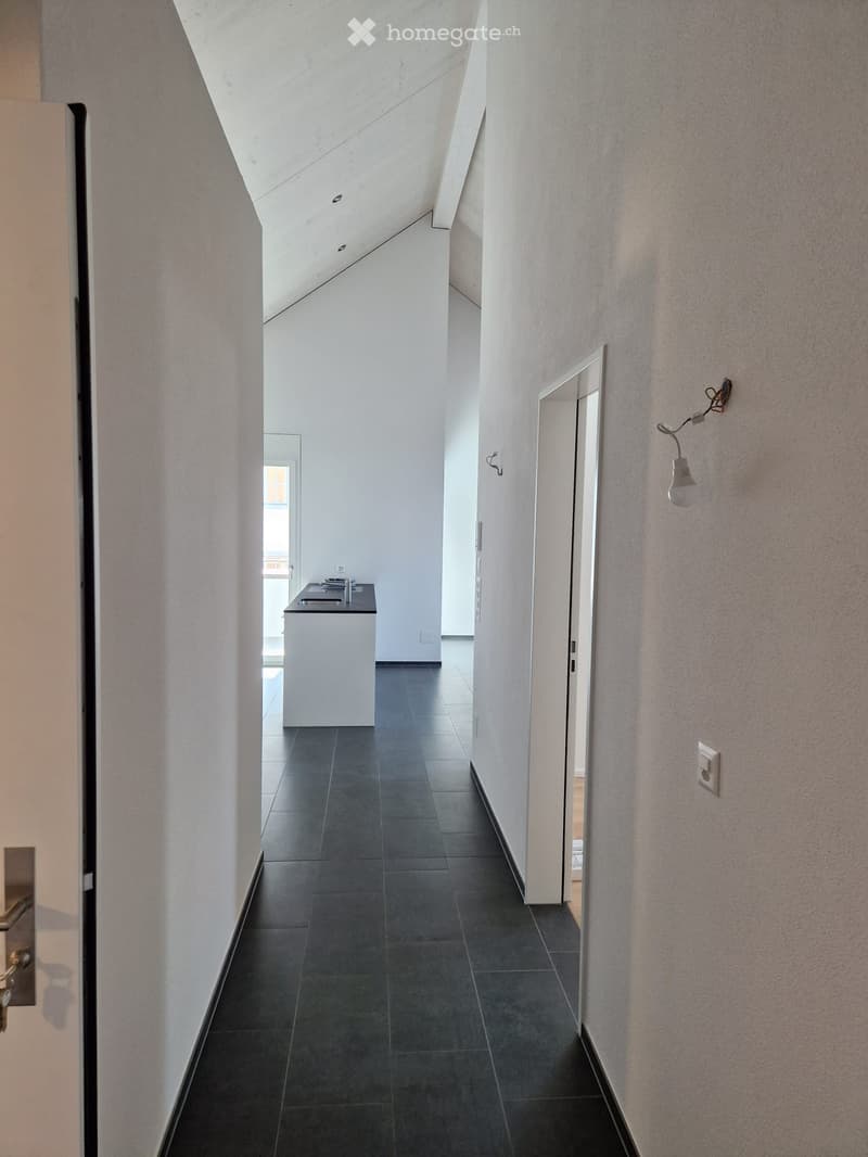 Schöne 3.5 -Zimmerwohnung in Hägglingen (3)