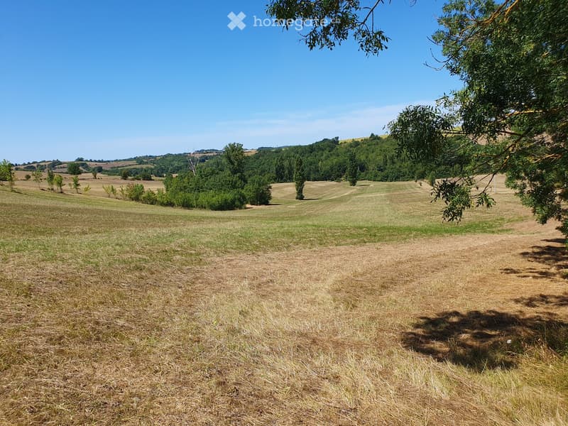 Open field with dry grass, scattered trees, and distant hills under a clear blue sky.