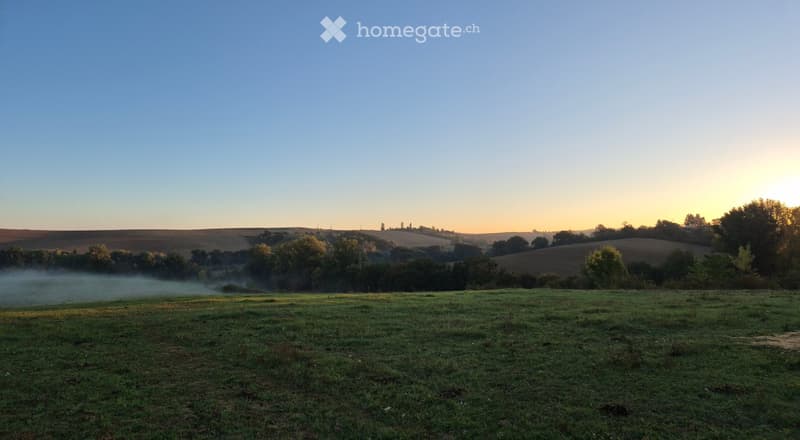 Open field with rolling hills, scattered trees, and a misty morning atmosphere.