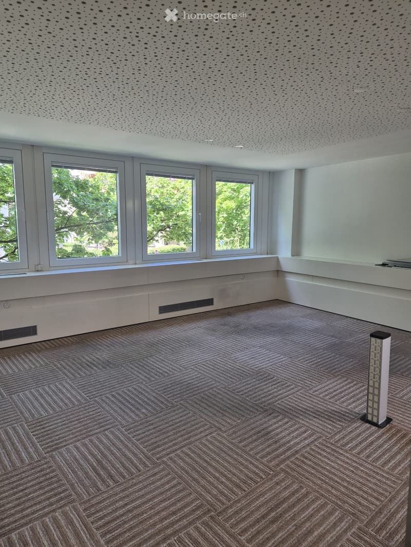 Empty room with modern decor, featuring large windows, a perforated ceiling, and a patterned carpet floor.