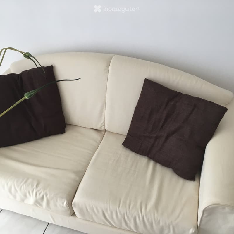 A white sectional sofa with two dark brown cushions and a small plant on the armrest.