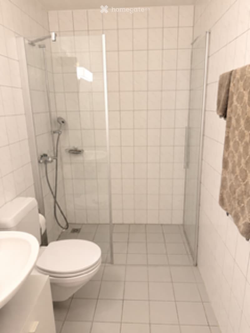 Modern bathroom with white tiled walls and floor, a toilet, a sink, and a glass-enclosed shower with a handheld showerhead.