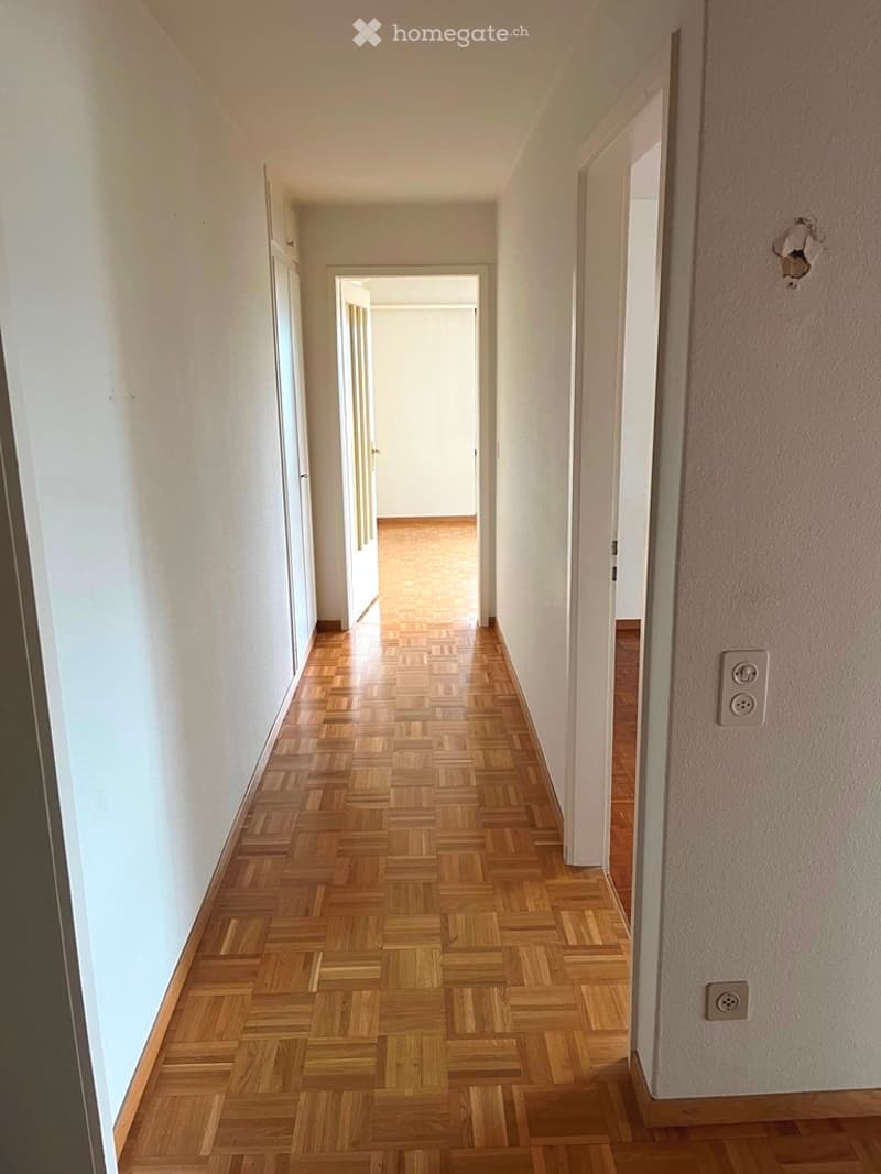 A narrow hallway with wooden paneling on one wall and white walls on the other, featuring a skylight and a window at the end.