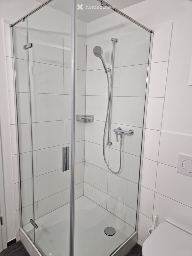Modern bathroom with a glass-enclosed shower stall, white tiles, and a sleek chrome showerhead and faucet.