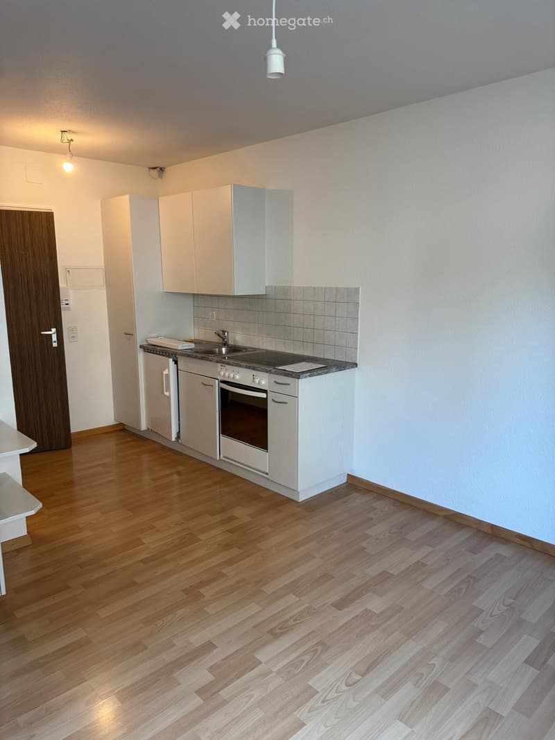 Modern kitchen with light-colored cabinets, a sink, an oven, and a wooden floor.
