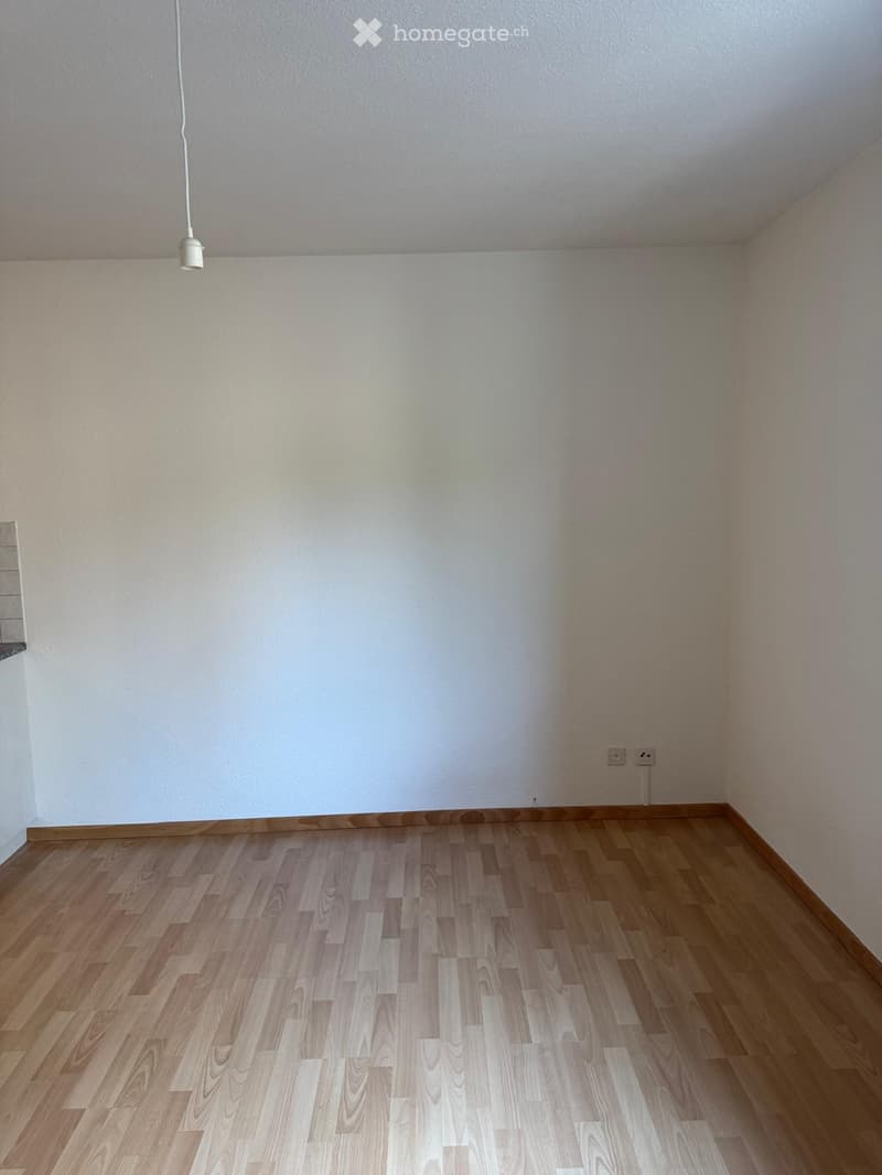 Empty room with wooden flooring and white walls, featuring a single hanging light fixture.