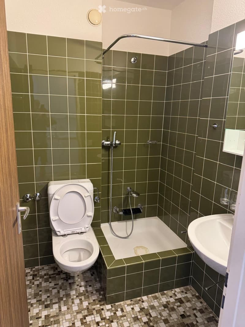 Bathroom with green tiled walls, a toilet, a bathtub, a sink, and a showerhead.