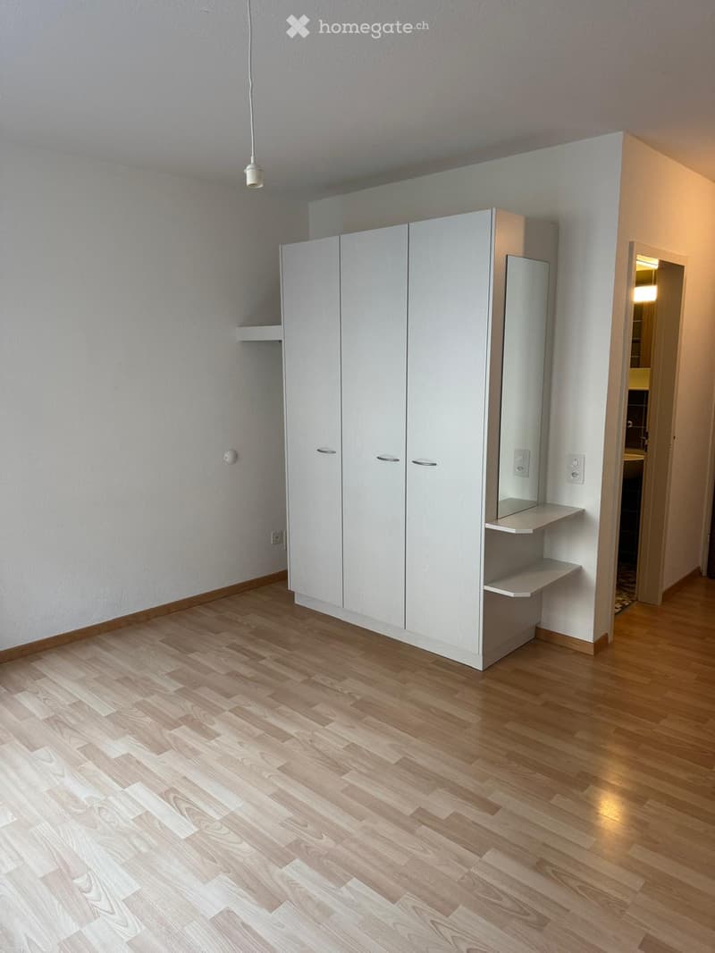 Empty room with light wooden flooring, white walls, and built-in white closet with mirrored door and shelves. A hallway leads to another room.