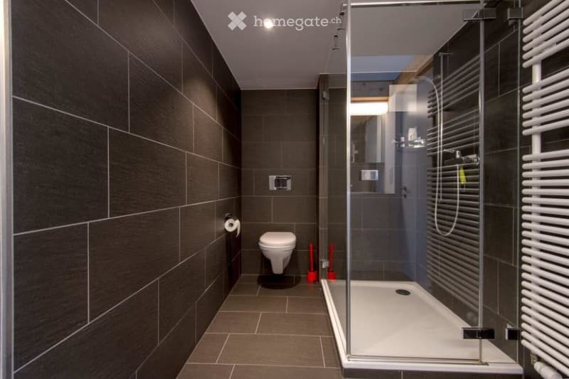 Individuelle Dachwohnung in saniertem Vorstadthaus (7)
