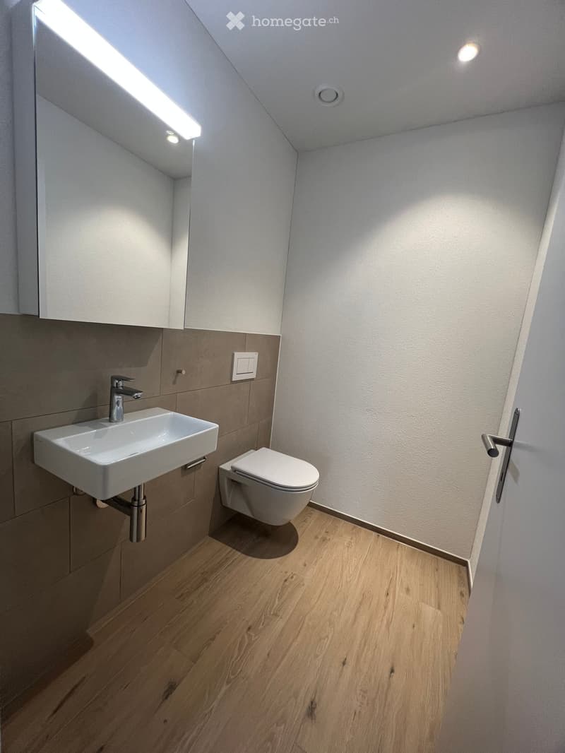 Modern bathroom with a white sink, chrome faucet, toilet, and wooden flooring.