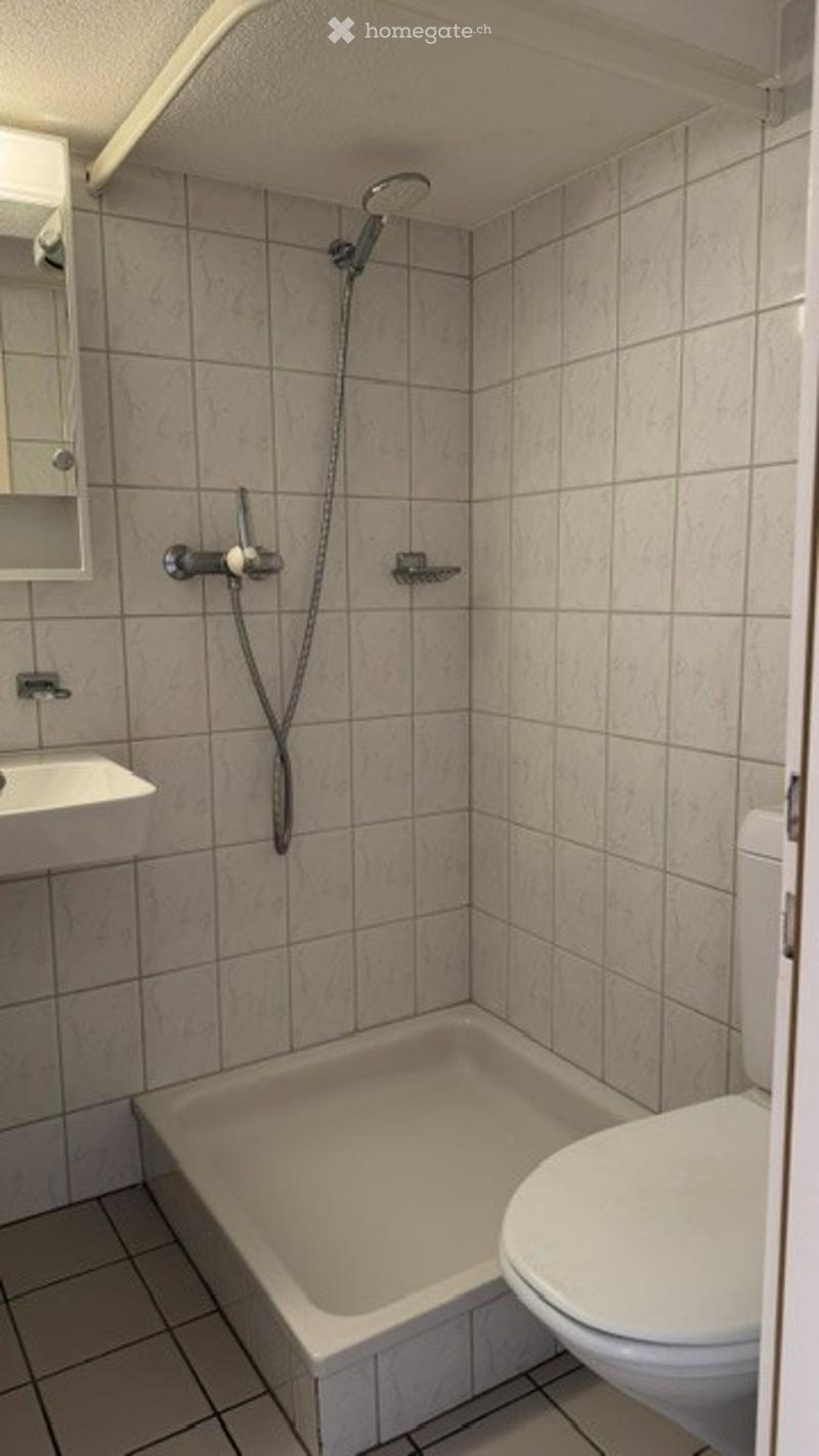 A small bathroom with a toilet, shower, sink, and mirror. The walls and floor are tiled in a light color.