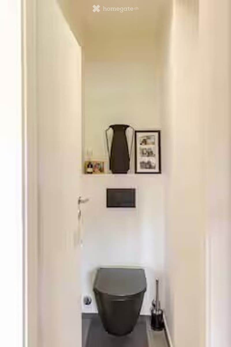 Modern, minimalist bathroom with white walls, grey toilet, framed picture, vase, and toilet brush.