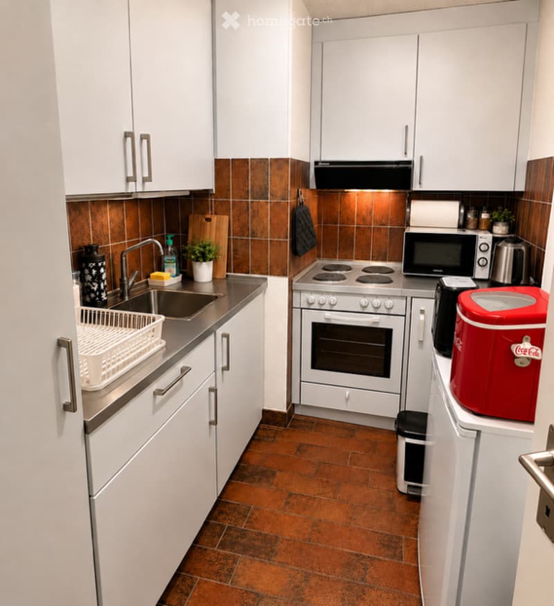 Modern kitchen with white cabinets, stainless steel appliances, and a brown tiled backsplash. Features include a sink with a faucet, an oven, microwave, refrigerator, dish rack, and a small plant on the counter.