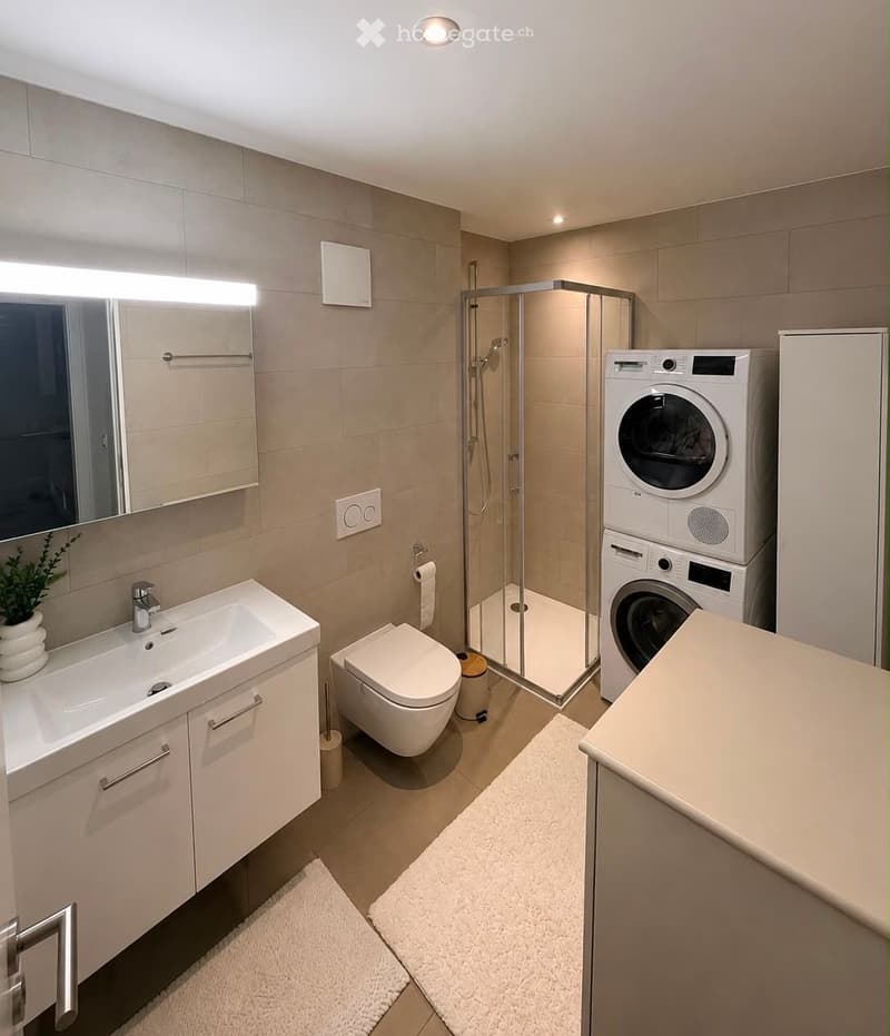Modern bathroom with a sink, mirror, toilet, glass-enclosed shower, and stacked washer/dryer unit. Features include a built-in light above the mirror and a small plant on the sink counter.