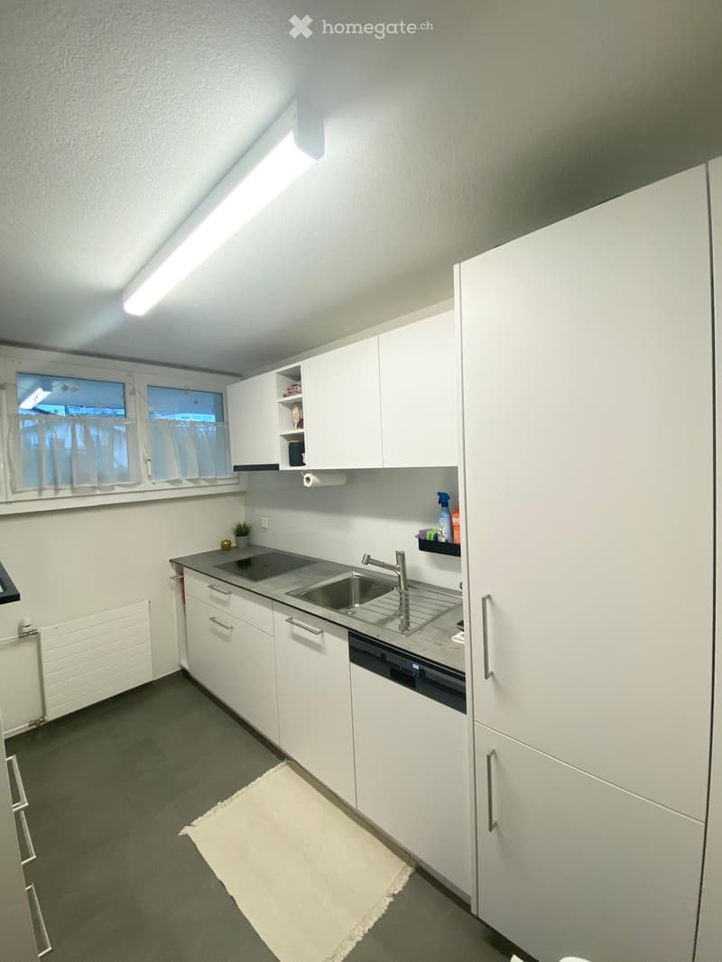 Modern kitchen with white cabinets, stainless steel sink, dishwasher, and countertop. Features a small potted plant and cleaning supplies on the counter.