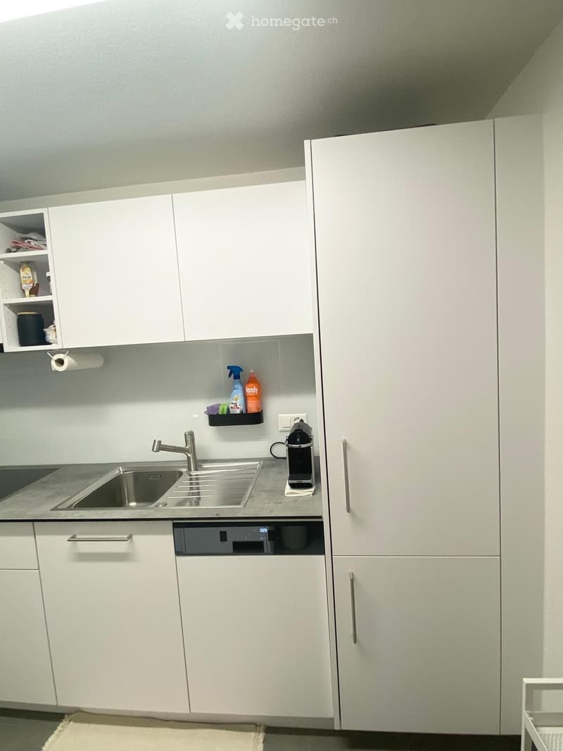 Modern kitchen with white cabinets, stainless steel sink, dishwasher, and coffee maker on the counter. Cleaning supplies are stored on a shelf above the sink.