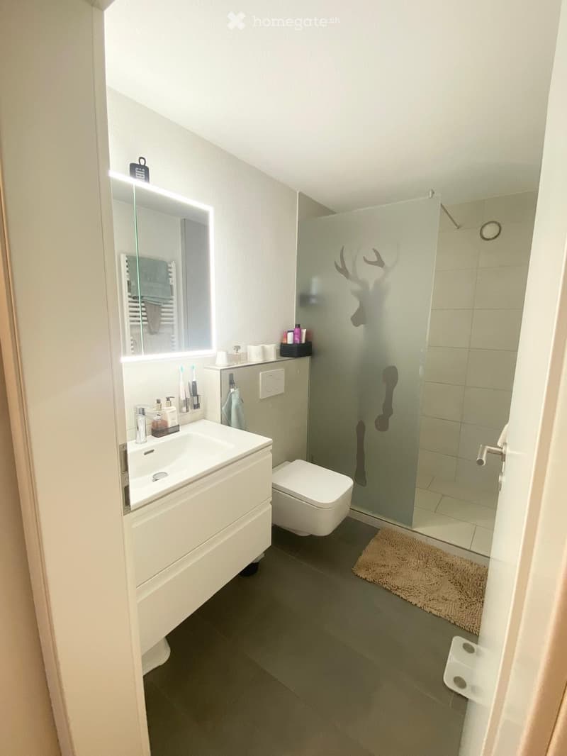 Modern bathroom with a white sink, toilet, and glass-enclosed shower. Features a large mirror with built-in lighting, a small shelf with toiletries, and a beige bath mat.