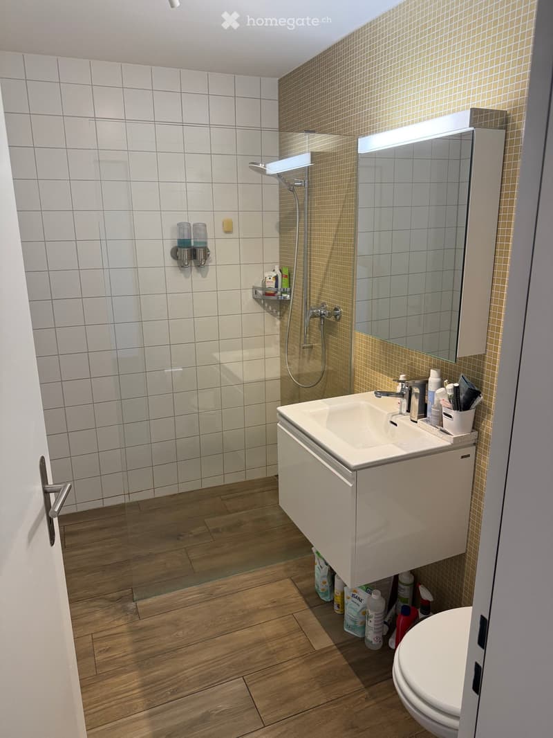 Modern bathroom with white tiles, wooden flooring, a glass-enclosed shower, a sink with a mirror cabinet, and a toilet. Cleaning supplies are stored under the sink.