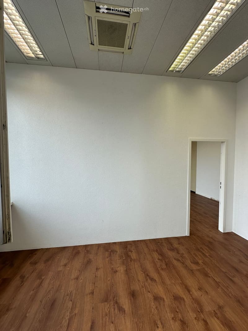 empty room, white walls, wooden floor, ceiling lights, door