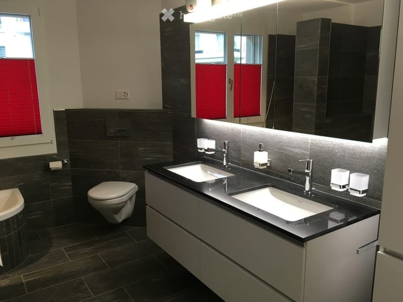Modern bathroom with dark tiles, double sink, large mirror, and built-in cabinets.