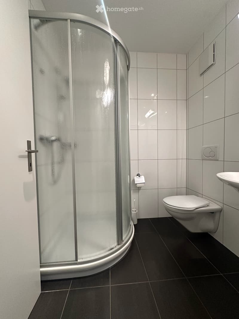 helle und ruhig gelegene 4.5 Zimmer Wohnung mit Balkon und Hobbyraum (10)