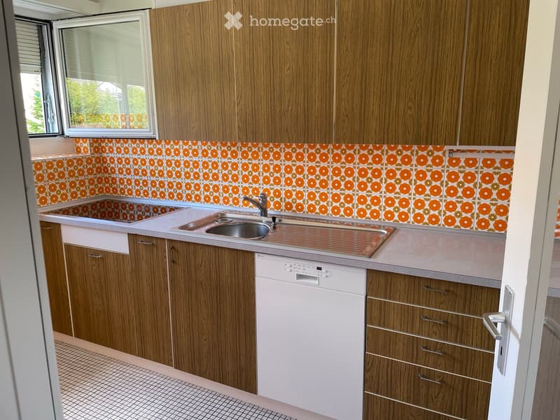 Wooden cabinets, stainless steel sink, dishwasher, and orange patterned backsplash.