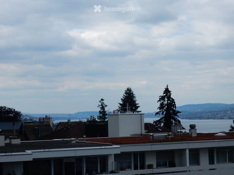 Roof view of a multi-story building with a green roof, surrounded by trees and a distant body of water.