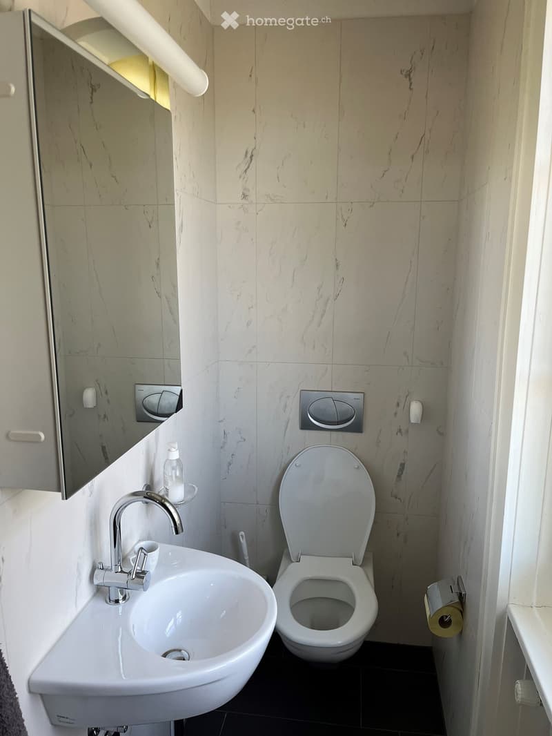 Modern bathroom with marble tiles, a white sink with chrome faucet, a toilet with lid up, a mirror, and a toilet paper holder.