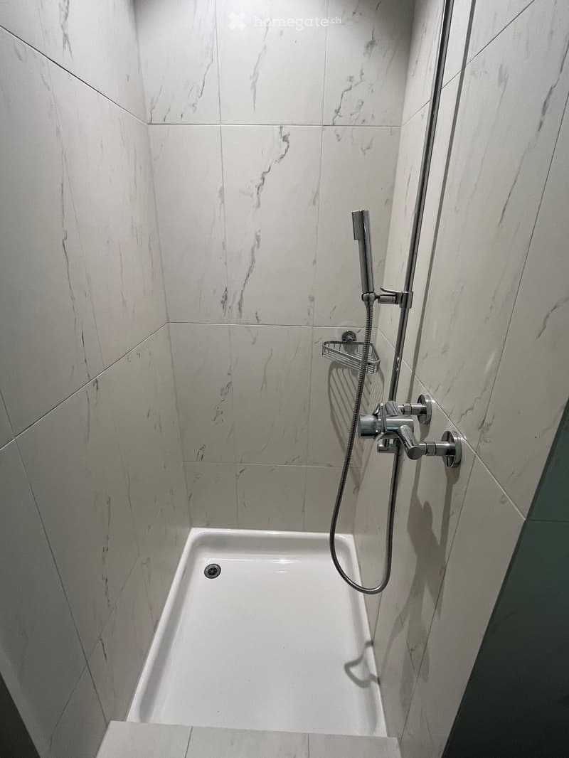 Modern bathroom with a white marble tiled shower area, a bathtub, and a handheld showerhead with a rail.