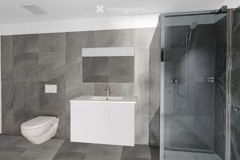 Modern bathroom with dark grey tiles, white sink, toilet, and glass-enclosed shower with a modern showerhead.
