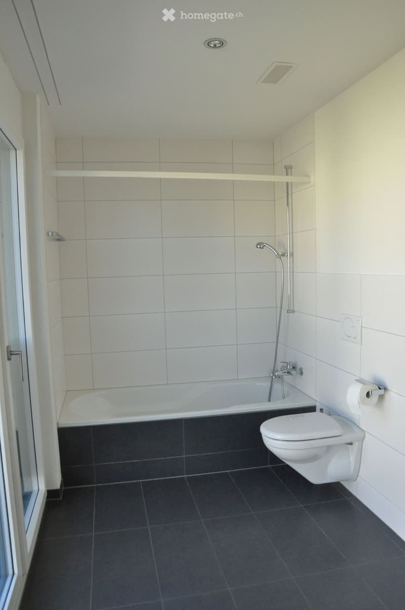 Modern bathroom with a bathtub, toilet, showerhead, and toilet paper holder. The walls are tiled in light gray, and the floor is dark gray tiles.