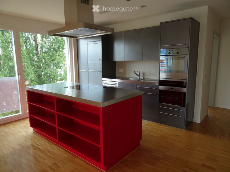 Modern kitchen with grey cabinets, red island, stainless steel appliances, and large windows overlooking greenery.